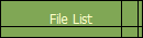 File List